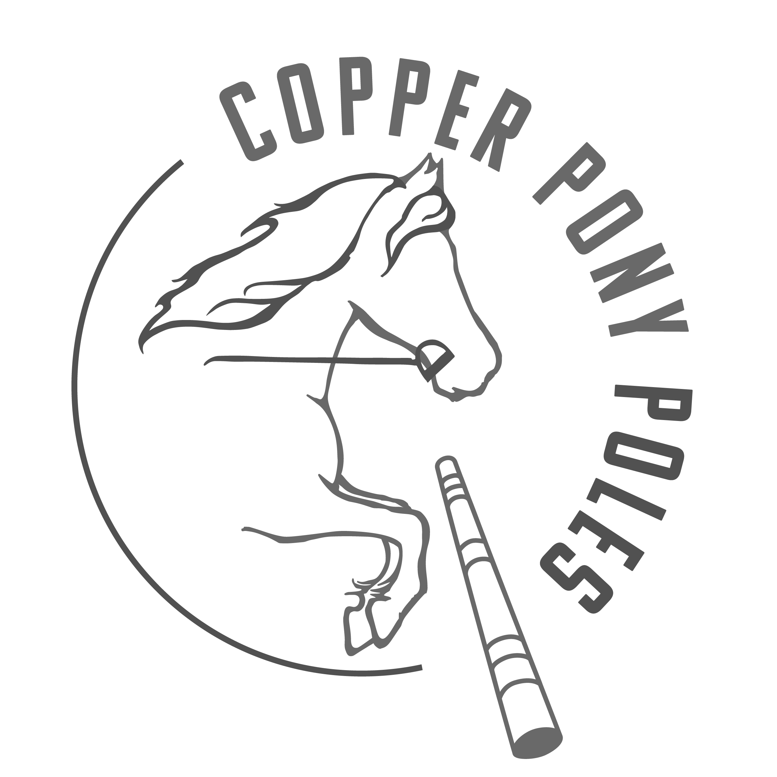 https://smallbusinessbc.ca/awards/wp-content/uploads/2023/03/Copper-Pony.png