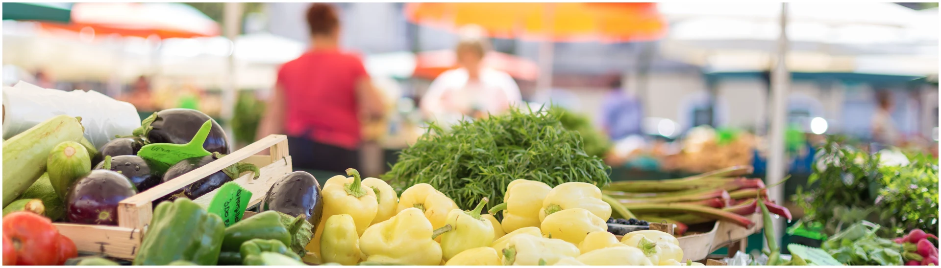 Food trading. На рынке. Оптовый рынок. Канада рынок. Пикник.