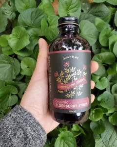 Elderberry syrup from Elderberry grove.