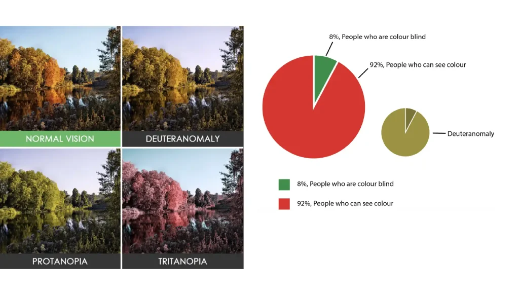 A graphic showing how normal vision compares to colour blind conditions.